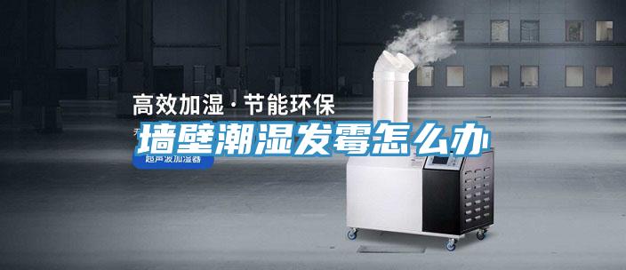 墙壁潮湿发霉怎么办