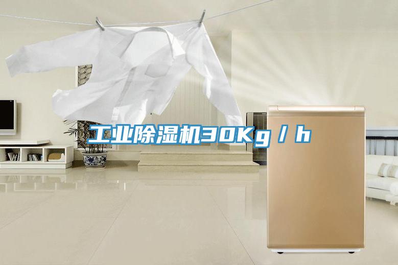 工业除湿机30Kg／h