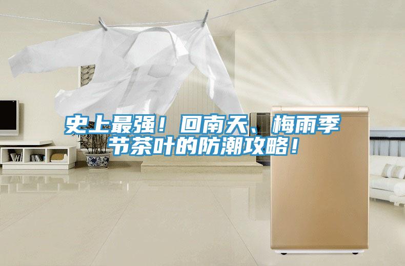 史上最强！回南天、梅雨季节茶叶的防潮攻略！
