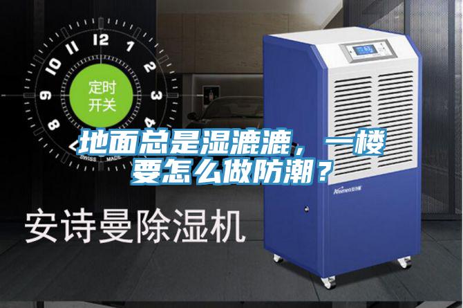 地面总是湿漉漉，一楼要怎么做防潮？