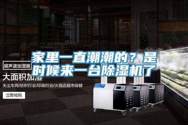 家里一直潮潮的？是时候来一台除湿机了