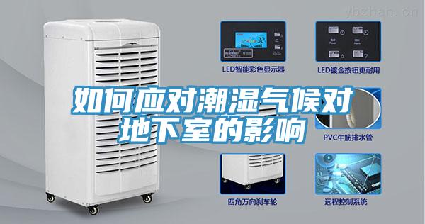 如何应对潮湿气候对地下室的影响
