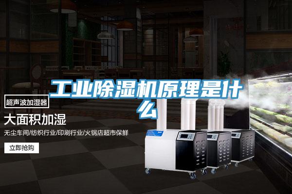 工业除湿机原理是什么