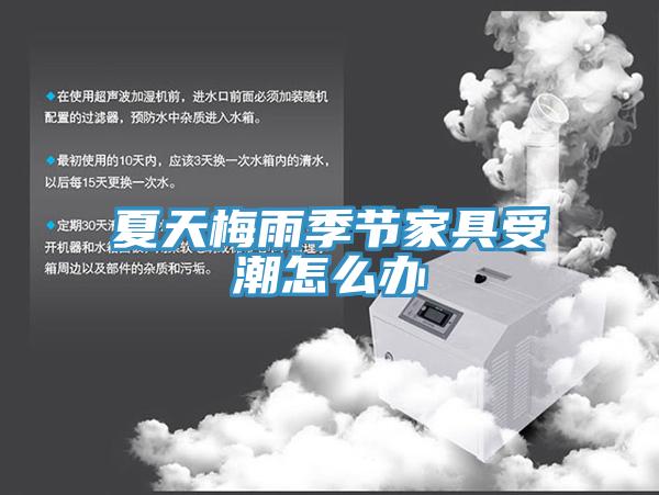 夏天梅雨季节家具受潮怎么办