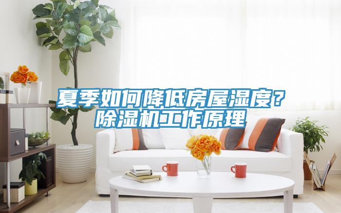 夏季如何降低房屋湿度？除湿机工作原理