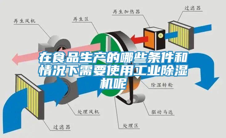 在食品生产的哪些条件和情况下需要使用工业除湿机呢
