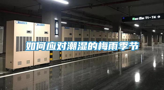 如何应对潮湿的梅雨季节