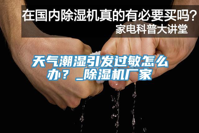 天气潮湿引发过敏怎么办？_除湿机厂家