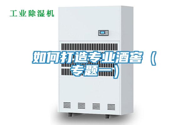 如何打造专业酒窖（专题一）