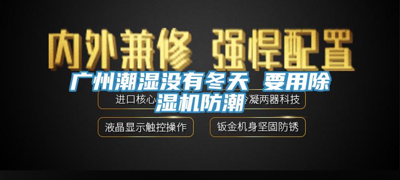 广州潮湿没有冬天 要用除湿机防潮