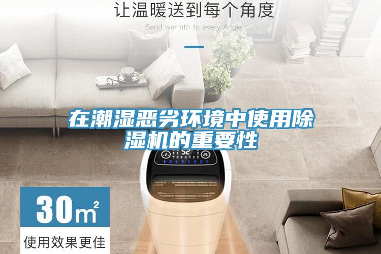 在潮湿恶劣环境中使用除湿机的重要性