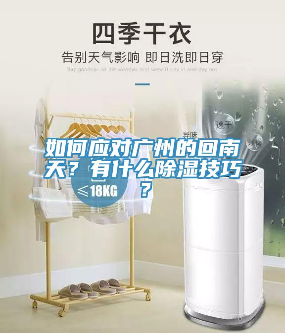 如何应对广州的回南天？有什么除湿技巧？