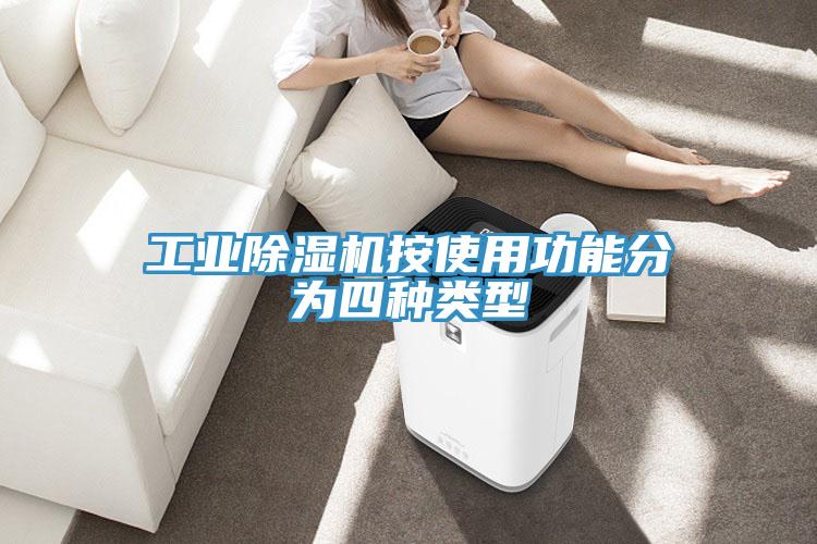 工业除湿机按使用功能分为四种类型