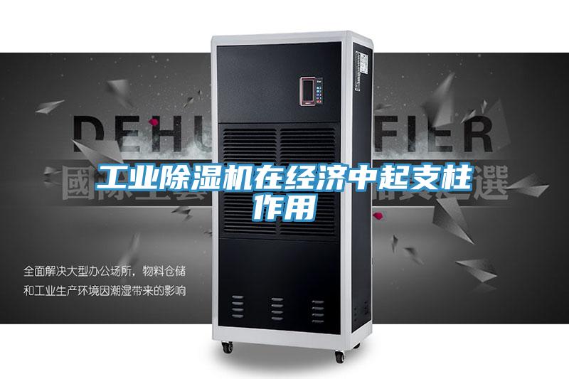 工业除湿机在经济中起支柱作用