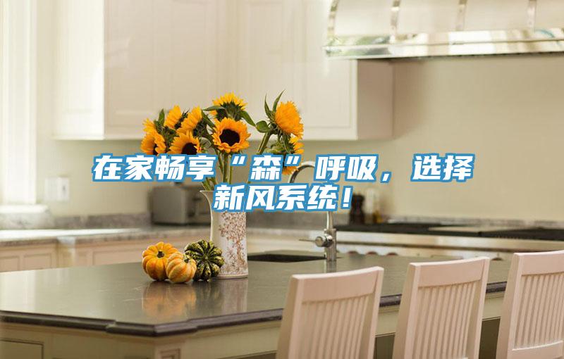 在家畅享“森”呼吸，选择新风系统！