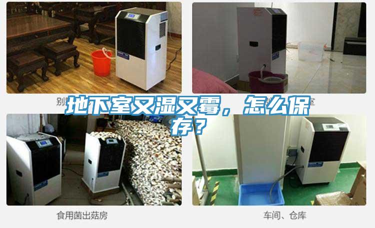 地下室又湿又霉，怎么保存？