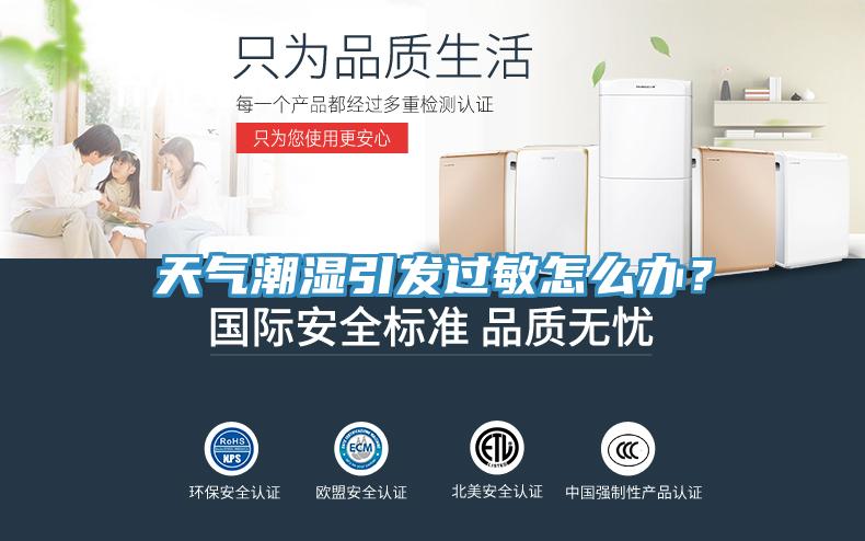 天气潮湿引发过敏怎么办？