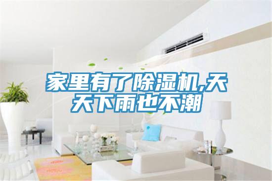 家里有了除湿机,天天下雨也不潮