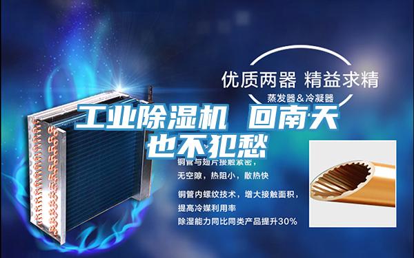 工业除湿机 回南天也不犯愁