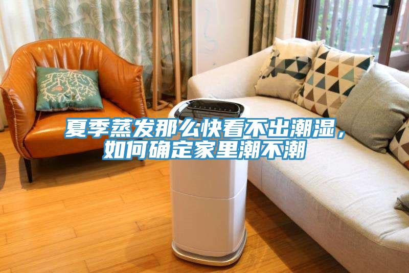 夏季蒸发那么快看不出潮湿，如何确定家里潮不潮