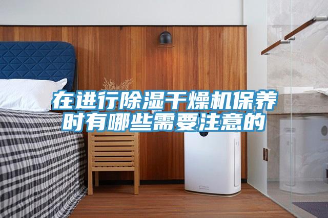 在进行除湿干燥机保养时有哪些需要注意的