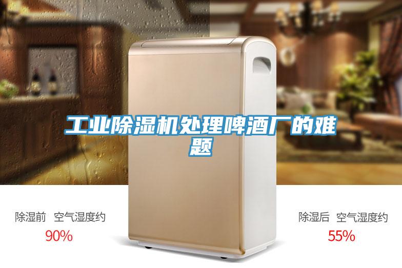 工业除湿机处理啤酒厂的难题