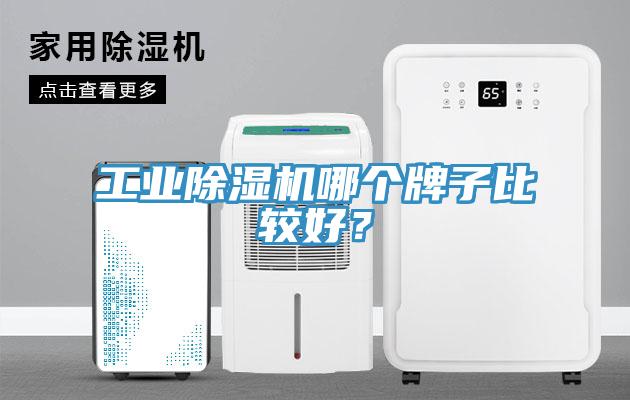 工业除湿机哪个牌子比较好？