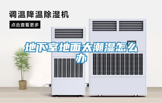 地下室地面太潮湿怎么办