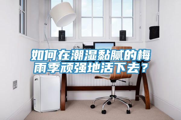 如何在潮湿黏腻的梅雨季顽强地活下去？