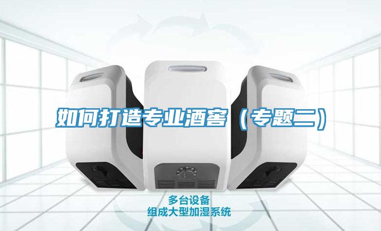 如何打造专业酒窖（专题二）