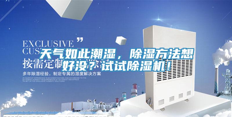 天气如此潮湿，除湿方法想好没？试试除湿机！