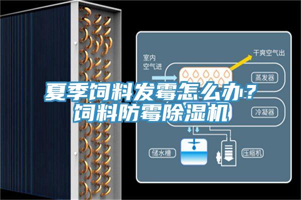 夏季饲料发霉怎么办？饲料防霉除湿机