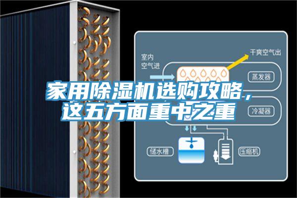家用除湿机选购攻略，这五方面重中之重