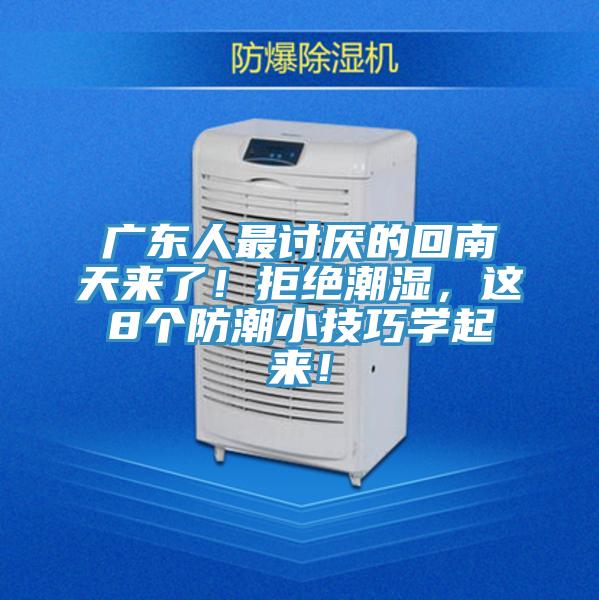 广东人最讨厌的回南天来了！拒绝潮湿，这8个防潮小技巧学起来！