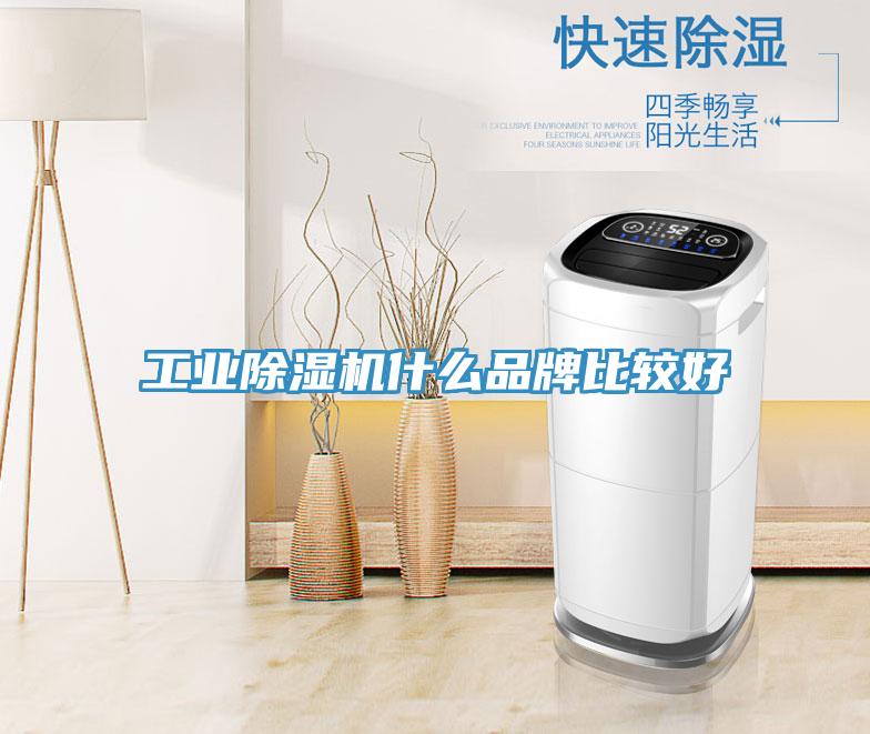 工业除湿机什么品牌比较好