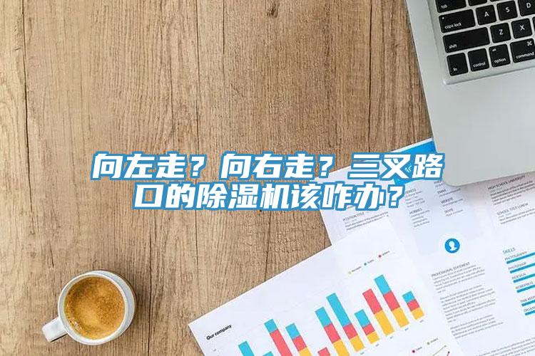 向左走？向右走？三叉路口的除湿机该咋办？