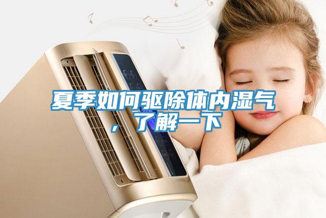 夏季如何驱除体内湿气，了解一下