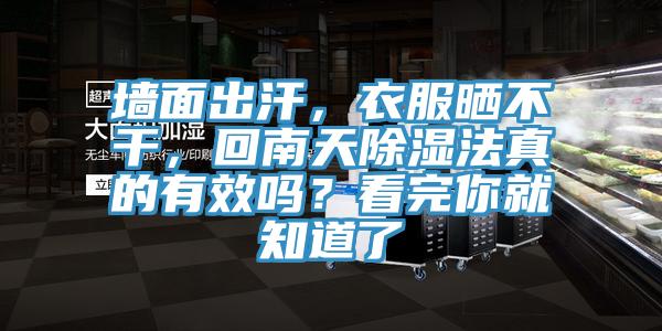 墙面出汗，衣服晒不干，回南天除湿法真的有效吗？看完你就知道了