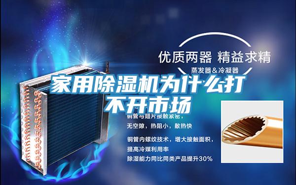 家用除湿机为什么打不开市场