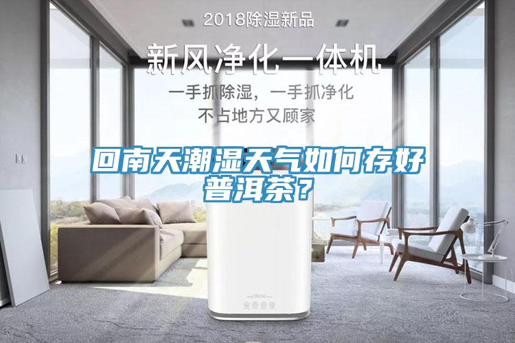 回南天潮湿天气如何存好普洱茶？