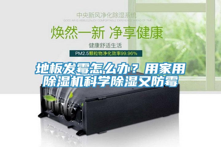 地板发霉怎么办？用家用除湿机科学除湿又防霉