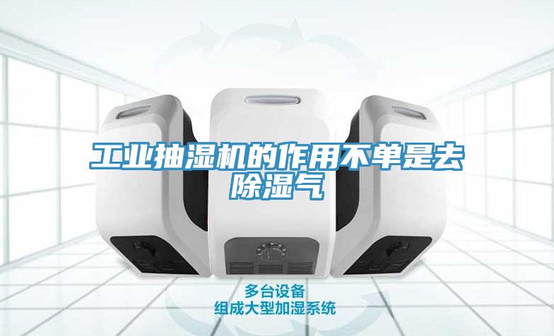 工业抽湿机的作用不单是去除湿气