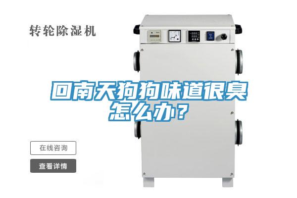 回南天狗狗味道很臭怎么办？