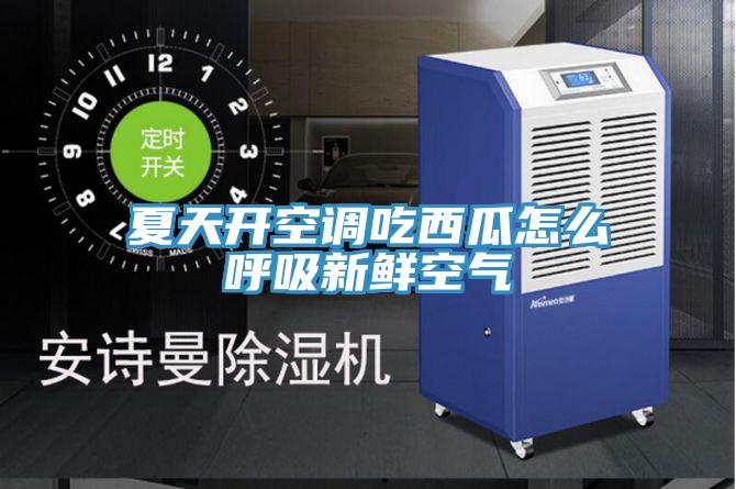 夏天开空调吃西瓜怎么呼吸新鲜空气