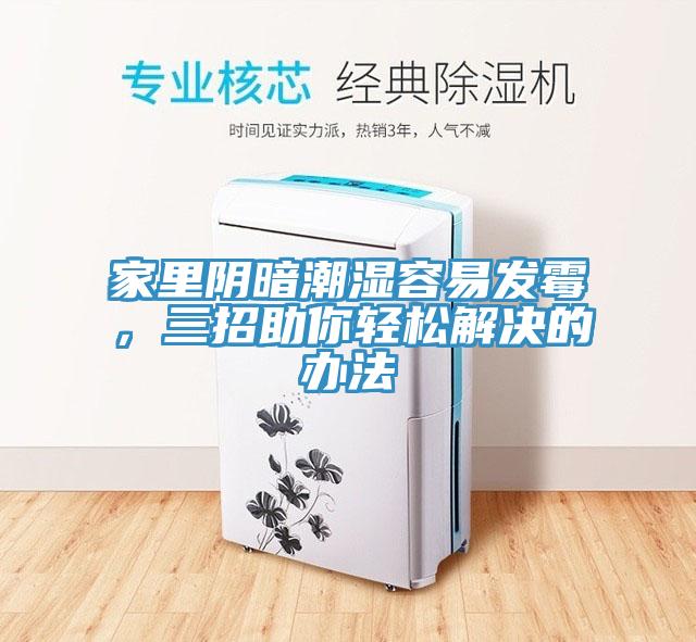 家里阴暗潮湿容易发霉，三招助你轻松解决的办法