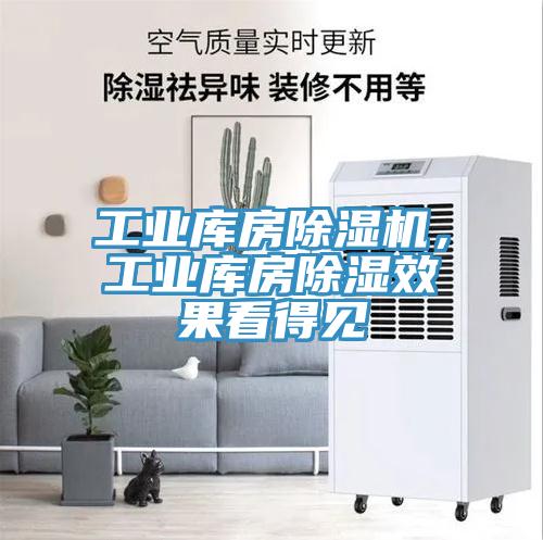 工业库房除湿机，工业库房除湿效果看得见