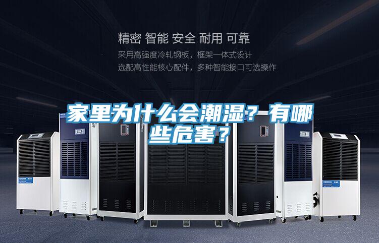 家里为什么会潮湿？有哪些危害？