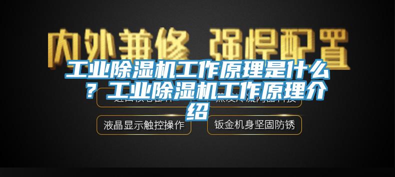 工业除湿机工作原理是什么 ？工业除湿机工作原理介绍