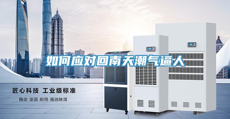 如何应对回南天潮气逼人