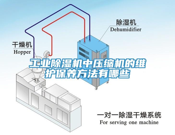 工业除湿机中压缩机的维护保养方法有哪些